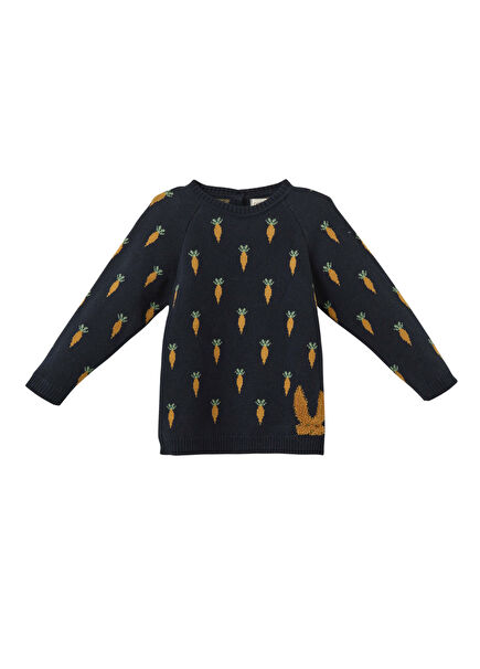 Organic Cotton Carrot Pattern Navy Unisex Children's Sweater