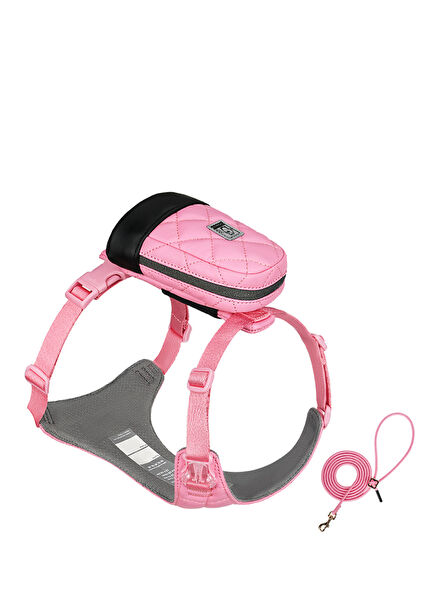Bio-Based Pink Leash Set