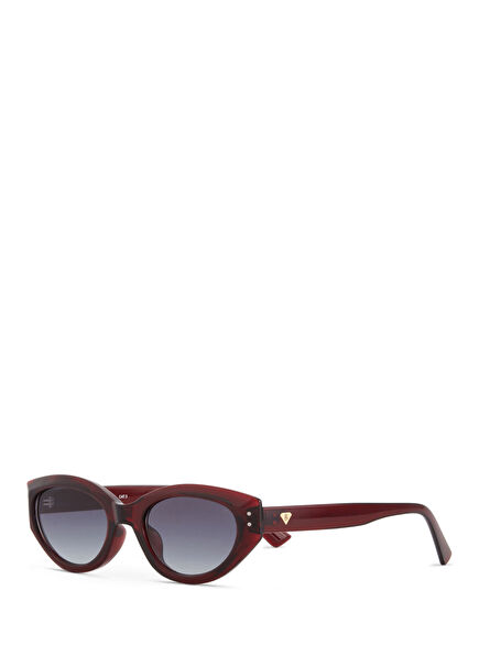 BC 1295 C2 Kahverengi Asetat Kadın Güneş Gözlüğü