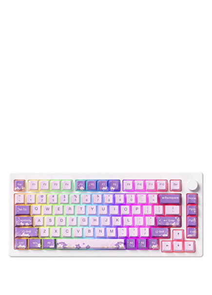 MOD 007 HE PC Purple Melody Hall Effect Magnetic Switch RGB Hotswap Mechanical Gaming Keyboard