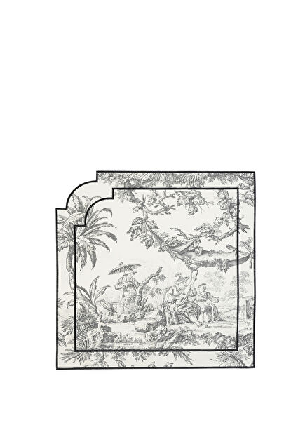 French Gray 2-Piece Cotton Napkin