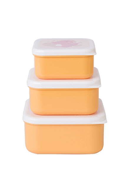 Happy Dino Set of 3 Nutrition Boxes