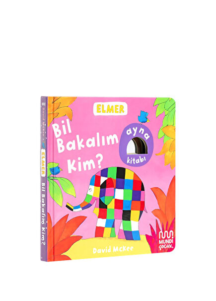 Elmer's Library: Guess Who? Children's Activity Book