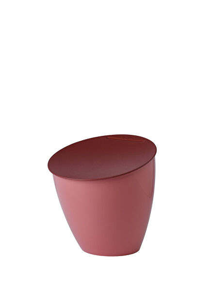 Waste Bin Calypso Gül Kurusu Plastik Kapaklı Çöp Kovası 2 Lt