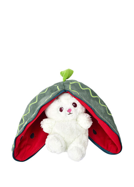 Watermelon Rabbit Playmate Plush Toy
