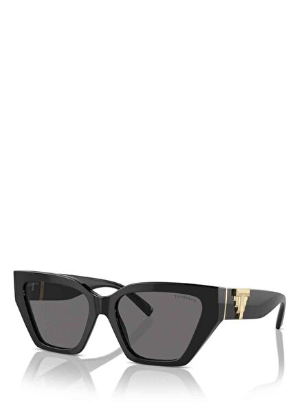 Black Women's Sunglasses