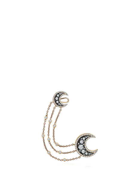 Moonlit Path Kadın Altın Küpe