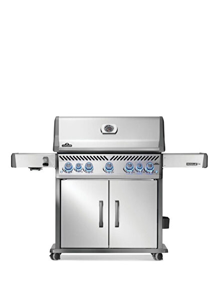 Rogue Pro S 625 RSIB Grey Gas Grill