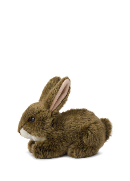 Brown Rabbit Plush Toy 19 cm