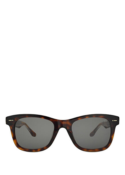 Sitazzs Brown Acetate Men's Sunglasses