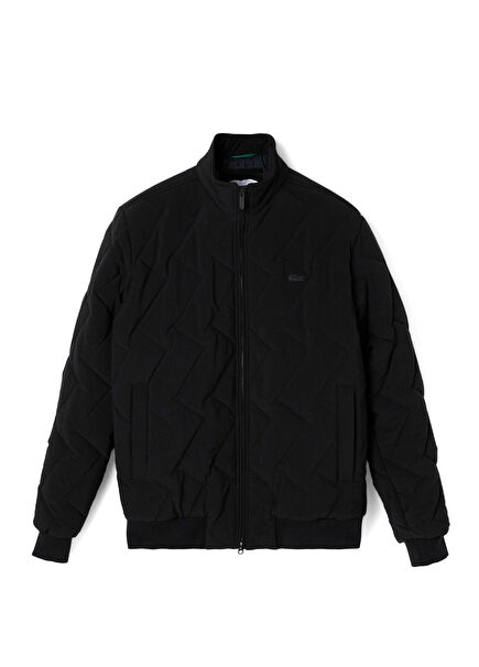 Siyah Dik Yaka Kapitone Erkek Mont