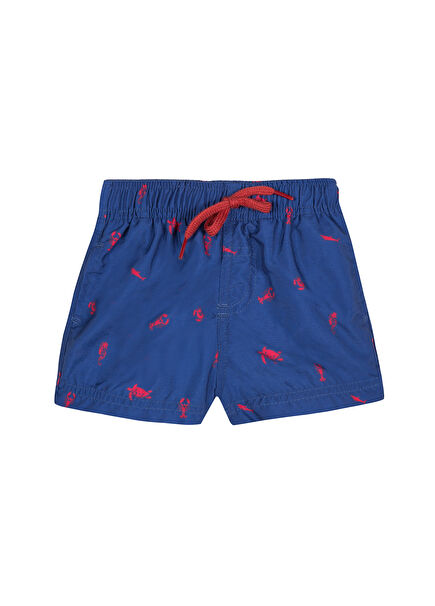 Navy Blue Patterned Baby Boy Shorts Swimsuit