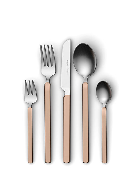 Home Belly Hot Pink Steel 20 Piece Cutlery Set for 4 Person