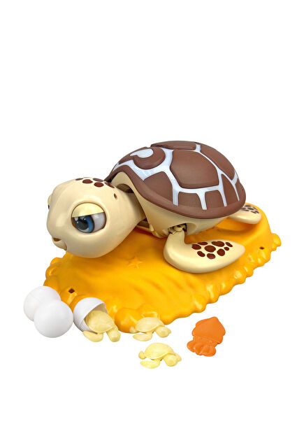 Rescue Brown Sea Turtle