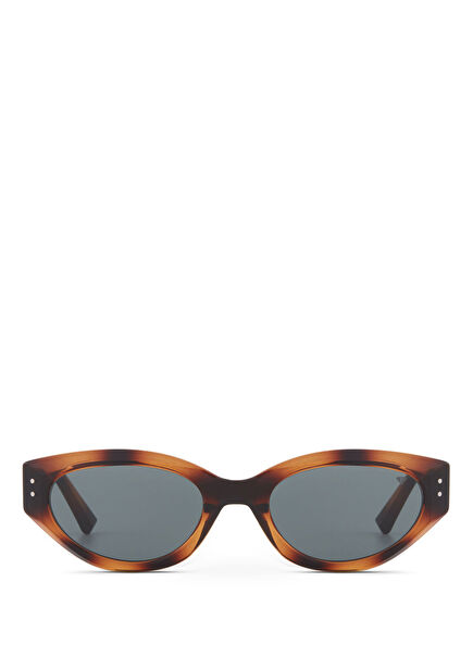 BC 1295 C3 Havana Asetat Kadın Güneş Gözlüğü