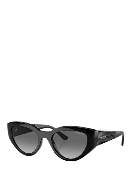Black Women's Sunglasses