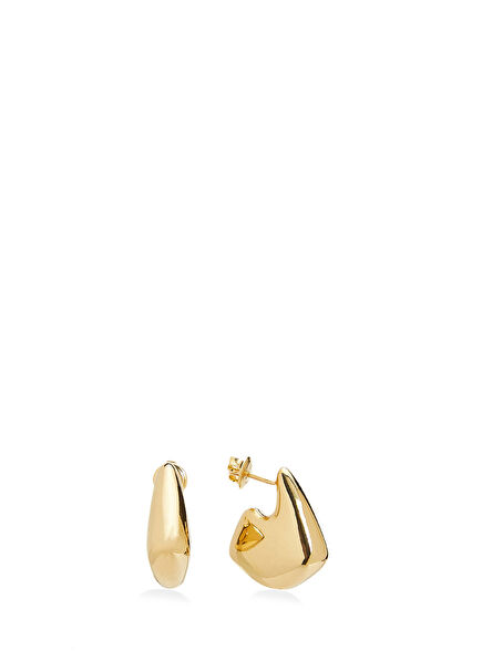 Gold Women's Silver Earrings