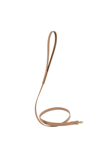 Balley Bej Deri Köpek Gezdirme Kayışı