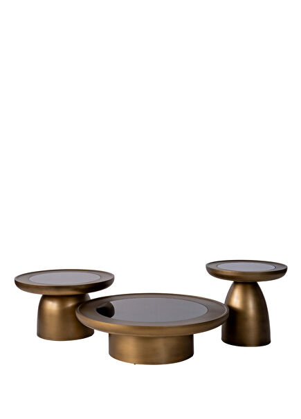 Hills Cam Detaylı Mushroom Brass Ahşap 3'lü Orta Sehpa