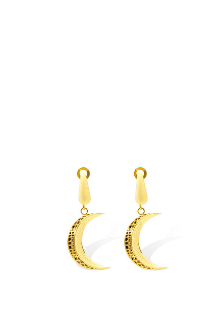 Crescent Moon Waving Women's Gold Earrings