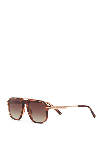 Popstar HM 1747 C4 Havana Altın Rengi Metal Unisex Güneş Gözlüğü