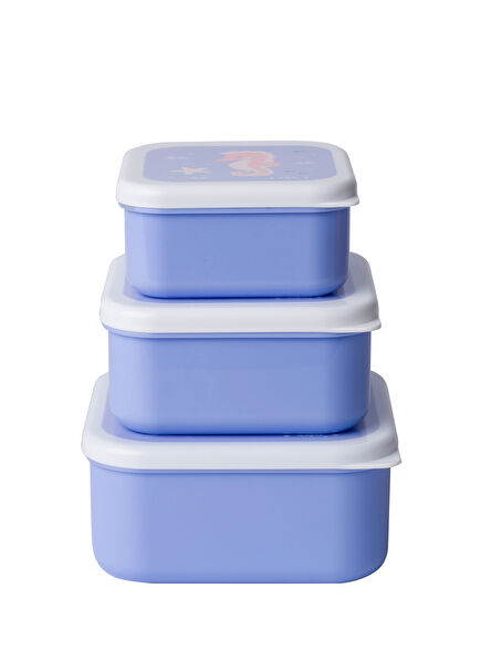 Ocean Life 3-piece Nutrition Box