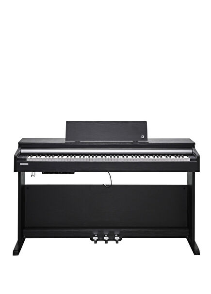 CUP-M1 Gülağacı Dijital Piyano 