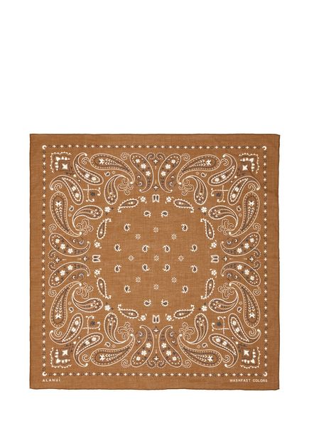 Brown Women's Shawl