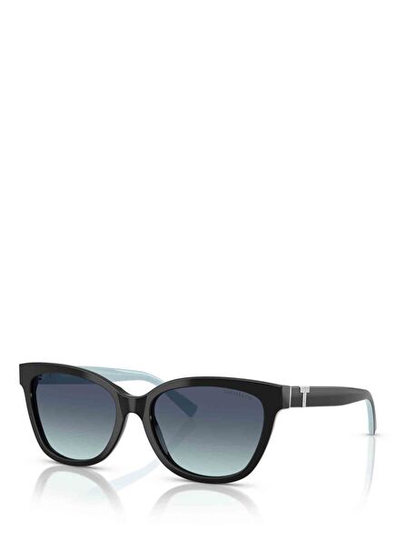 Black Women's Sunglasses