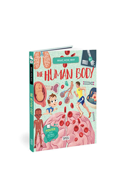 What How Why Human Body Atlas Set