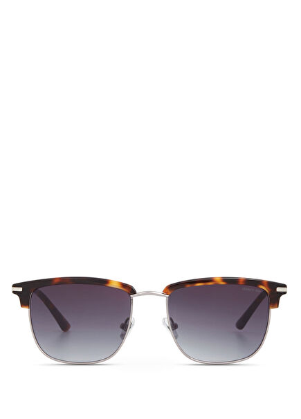 CR 80082 C2 Havana Gümüş Metal Erkek Güneş Gözlüğü