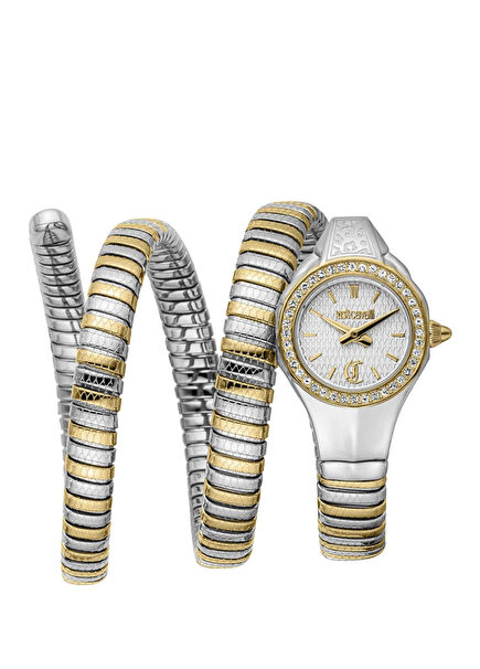 JC1L355M0055 Gold Metallic Grey Steel Women's Wristwatch