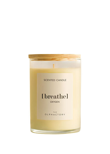 Breathe Oxygen 350 Gr Candle