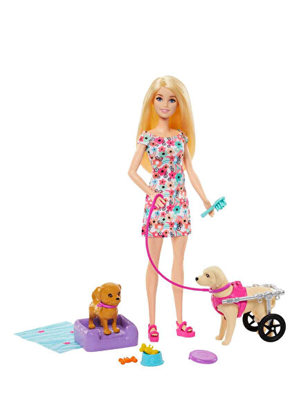 Barbie and Disabled Dog Playset HTK37