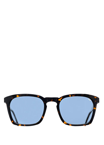 Fedro 50 H11 Koyu Havana Asetat Erkek Güneş Gözlüğü