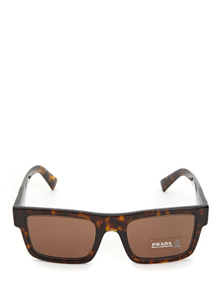 Turtle Patterned Men's Sunglasses