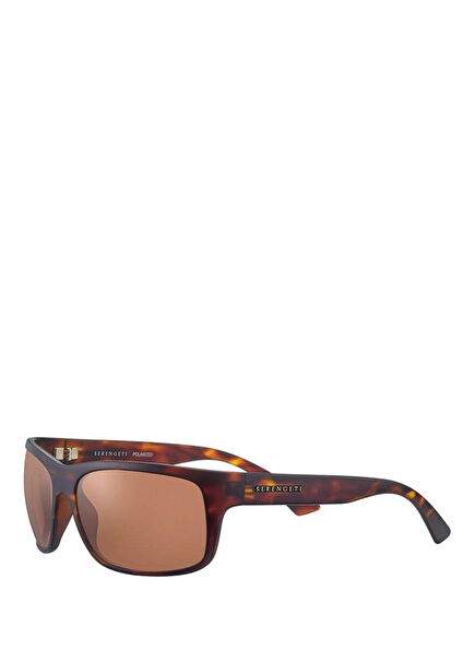 Pistoia Havana Acetate Men's Sunglasses