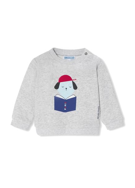 Baskılı Gri Pamuklu Erkek Bebek Sweatshirt