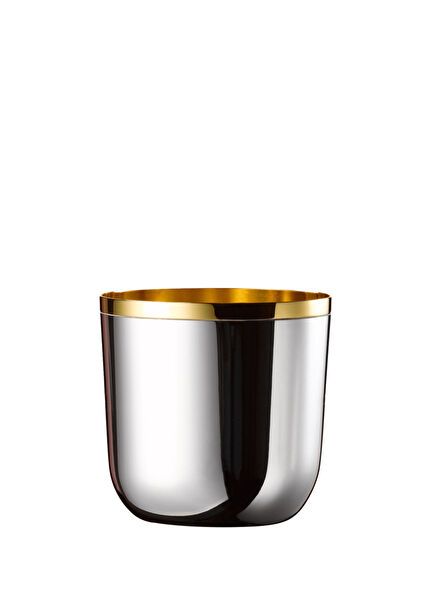 Silver & Gold Goblet