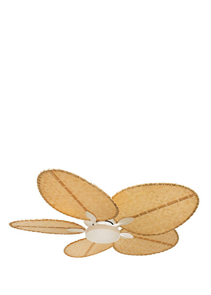 Robin White Illuminated Ceiling Fan