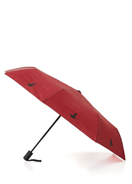 Burgundy Umbrella