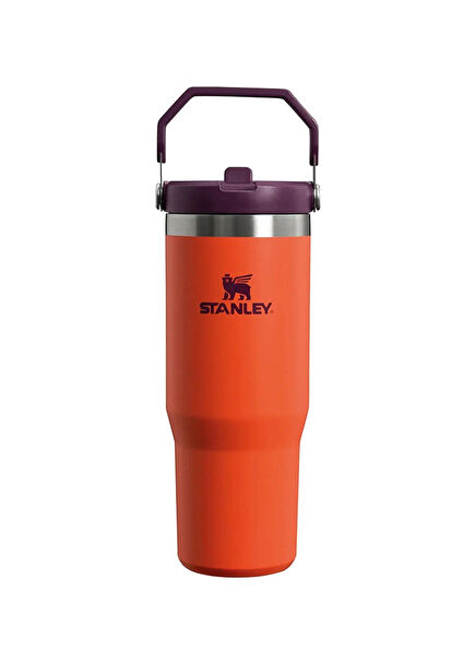 The IceFlow Flip Straw Tumbler 0.89L / 30oz
