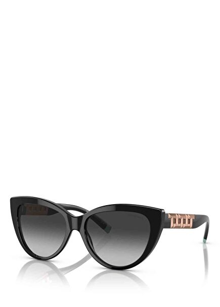 Black Women's Sunglasses
