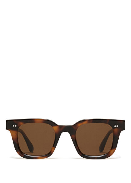 Sun Tortoise Brown Acetate Unisex Sunglasses