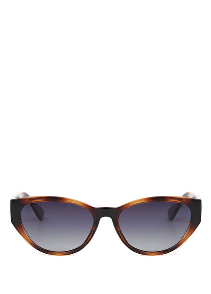 DS 2308 C2 Glossy Havana Acetate Women's Sunglasses