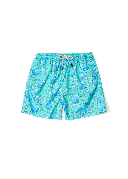 Gaya Green Boys Swimsuit
