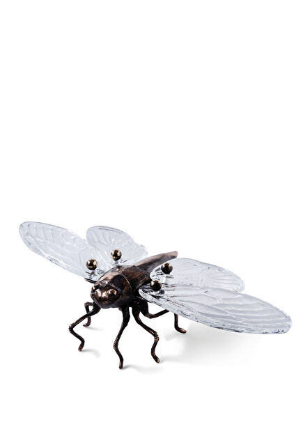Icarus Bronz Cam Sunumluk