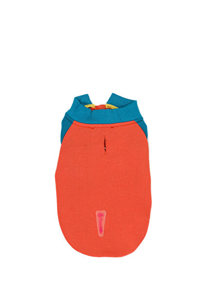 Yavruağzı Mavi Garnili Küçük Irk Köpek Sweatshirt 