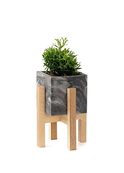 Black Concrete Pot with Wooden Legs