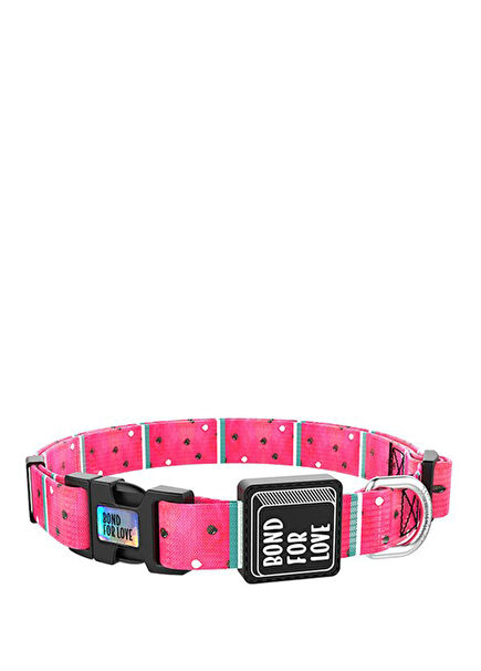 Ispet Karpuz Köpek Boyun Tasması